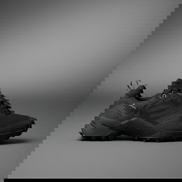 Sneakers og sko adidas Performance Terrex Swift R3 GTX Sort | IE7634, 0