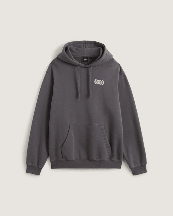 Sweatshirt Vans Earthbound Pullover Hoodie Grå | VN000RD71O7