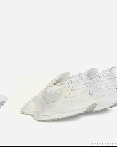Sneakers og sko Nike Air Zoom Pegasus 41 "Ivory & Coconut Milk" Hvid | HQ6025-100, 2