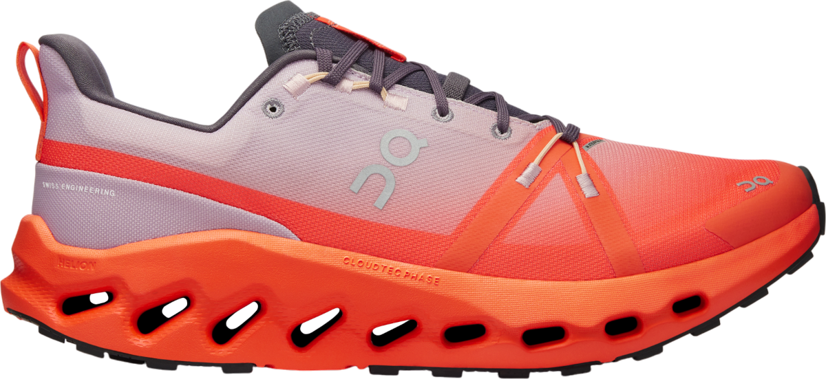 Sneakers og sko On Running Cloudsurfer Trail Waterproof Grå | 3me10271906, 0