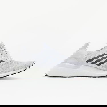Sneakers og sko adidas Performance Ultraboost 20 Grå | EG0694, 1