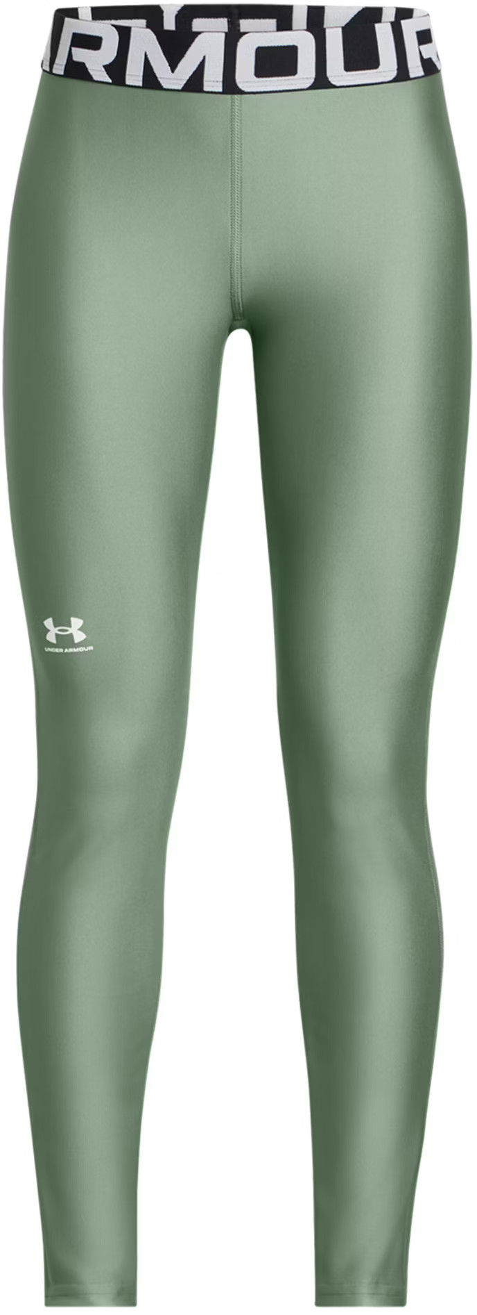 Leggings Under Armour Under Armour HG Leggings Grøn | 1390069-348