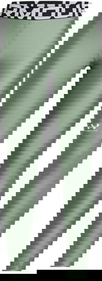 Under Armour HG Leggings