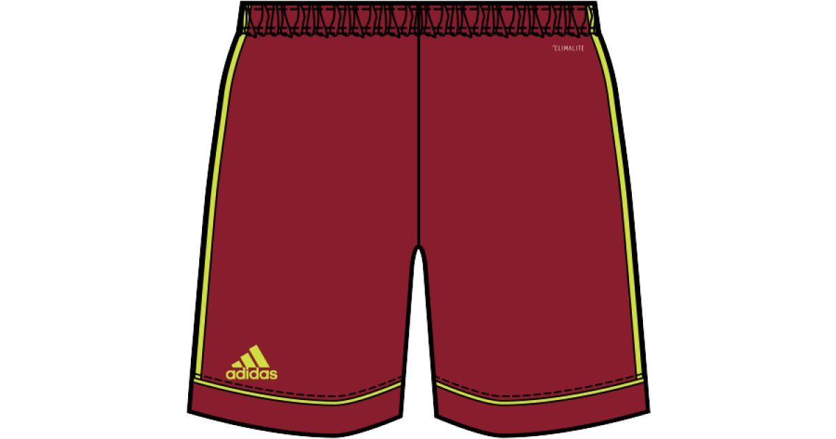 Shorts adidas Performance Squadra 17 Shorts Bourgogne | cf0394, 1