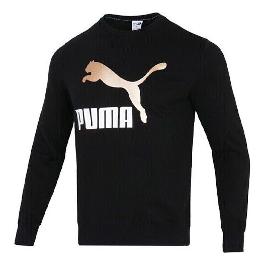 Sweater Puma PUMA Bronzing Logo Pullover Sort | 535278-01