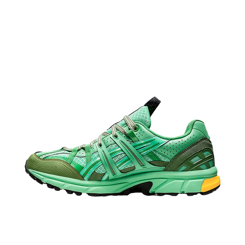 Løbe Asics GEL-Sonoma 15-50 GTX Grøn | 1201A440-300