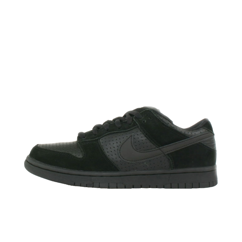 Sneakers og sko Nike SB SB Dunk Low Gino Iannucci 2 Sort | 304292-002
