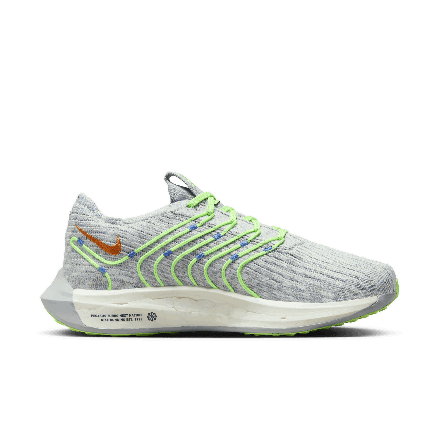 Sneakers og sko Nike Pegasus Turbo Grå | DM3414-007, 1