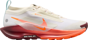 Sneakers og sko Nike Pegasus Trail 5 GORE-TEX Hvid | fq0912-104, 0