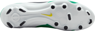 Sneakers og sko Nike LEGEND 10 ACADEMY FG LV8 Grøn | hj7268-300, 2