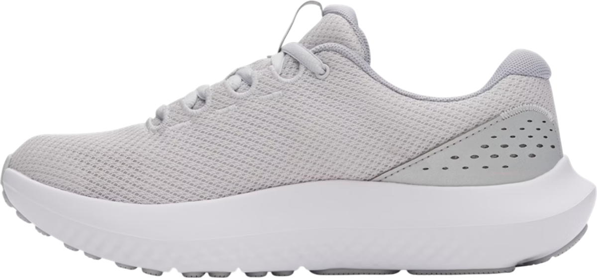 Sneakers og sko Under Armour Charged Surge 4 Grå | 3027007-014, 1