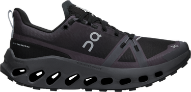 Sneakers og sko On Running Cloudsurfer Trail Waterproof Sort | 3we10290106, 0