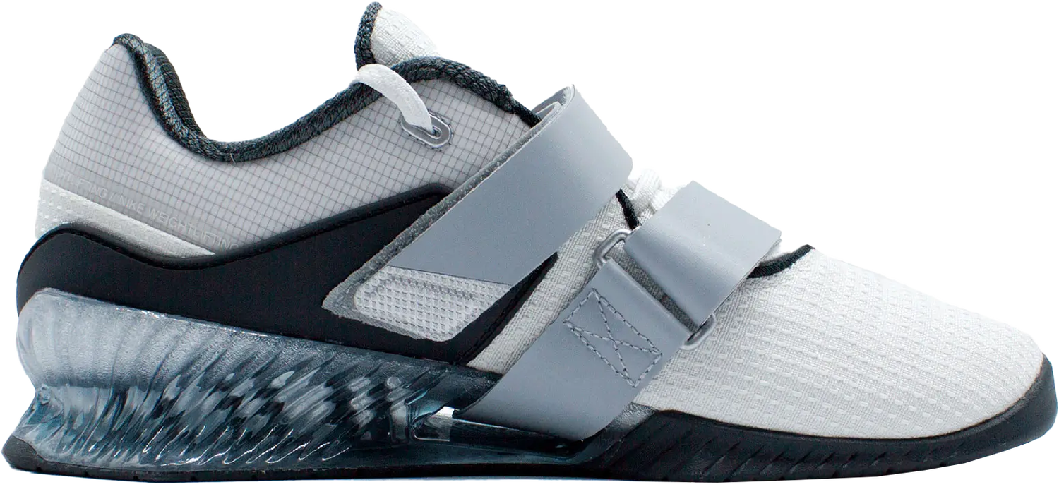 Sneakers og sko Nike ROMALEOS 4 SE Grå | fz8663-100, 1