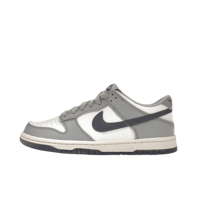 Sneakers og sko Nike Dunk Low Grå | FB9109-101