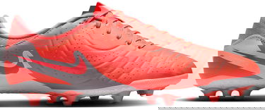 Sneakers og sko Nike LEGEND 10 ACADEMY AG Rød | dv4340-800, 2