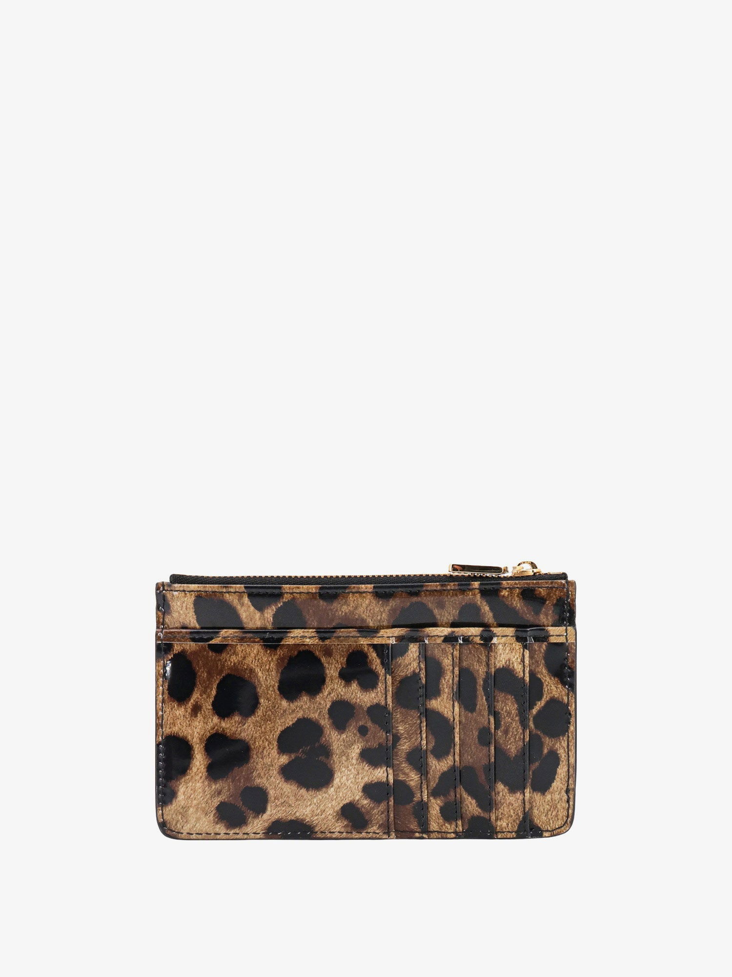 Tegnebog Dolce & Gabbana CARD HOLDER Brun | BI1261AM568HA93M, 1