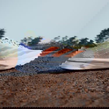Sneakers og sko adidas Performance ADIZERO SL 2 Hvid | ih8194, 5