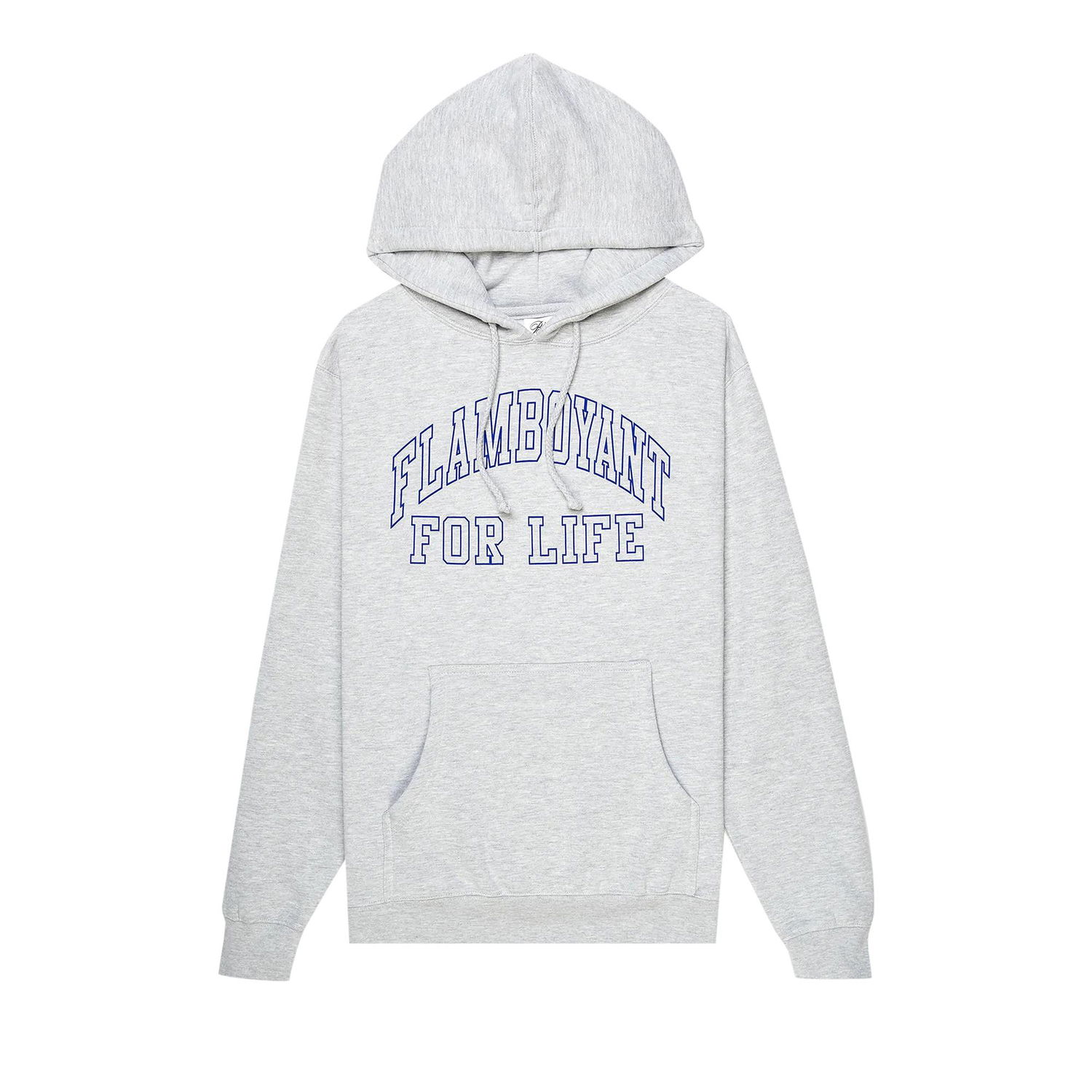 Sweatshirt Pleasures Flamboyant Hoodie Grå | P22F067 GREY, 1