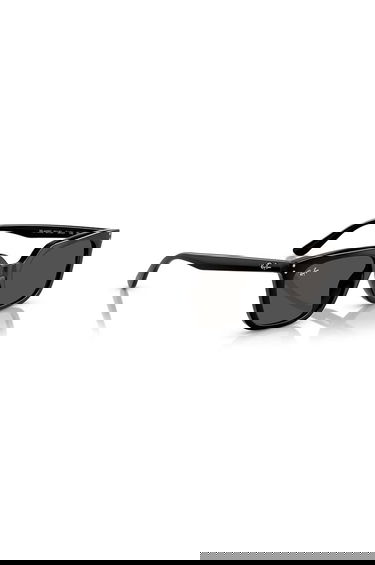 Solbriller Ray-Ban Ray-Ban 4439D Sunglasses Sort | 0RB4439D.901/87, 5