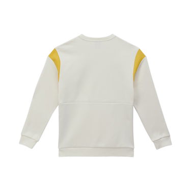 Sweater Puma German Handball Federation Men's Sweatshirt Hvid | 775866_01, 2