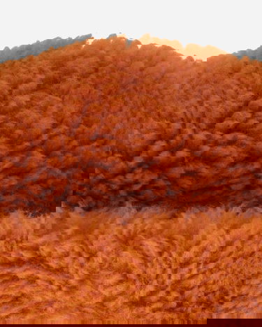 Beanie sacai Puffy Boa Beanie Orange | 25-01043S 851, 5