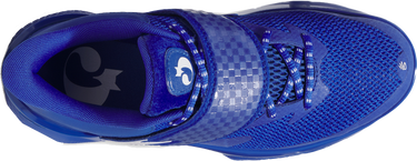 Sneakers og sko Under Armour Under Armour CURRY FOX 1 KW Blå | 6001924-400, 3