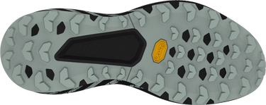 Sneakers og sko Dynafit Dynafit Trail Graphic Grå | 08-0000064114-0925, 1