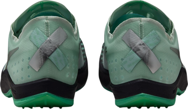 Sneakers og sko Nike Dragonfly XC Grøn | dx7992-300, 1