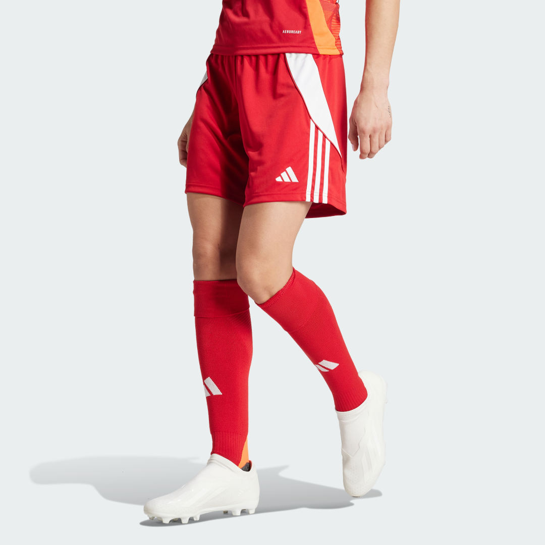 Shorts adidas Performance Tiro 24 Rød | IR9373, 0