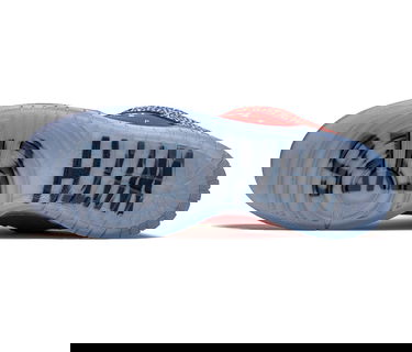 Sneakers og sko Nike SB Dunk Low Stingwater Magic Mushroom Rød | DH7650-600, 2