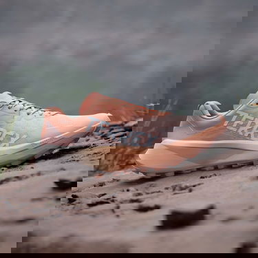 Sneakers og sko adidas Performance Terrex Agravic 3 Trail Running Orange | IG6582, 1