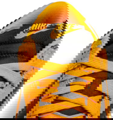 Sneakers og sko Nike Dunk Low "Goldenrod" Gul | DD1391-004, 6