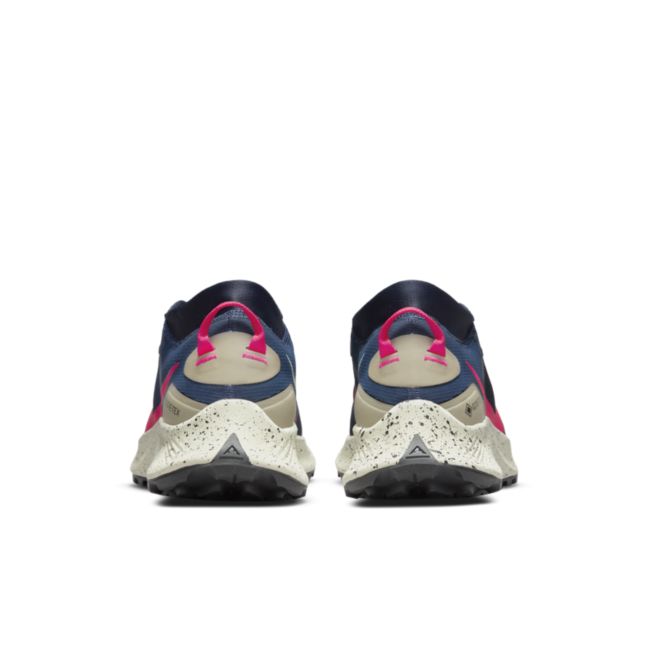 Sneakers og sko Nike Pegasus Trail 3 GTX Waterproof Mørkeblå | DC8793-401, 1