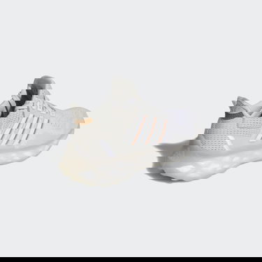 Sneakers og sko adidas Performance Ultraboost Web DNA Grå | GY8081, 2
