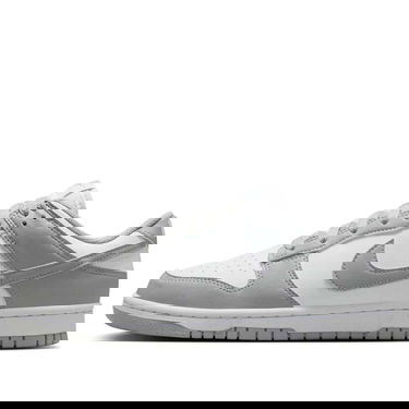 Sneakers og sko Nike Dunk Low Next Nature Grå | DD1873-113, 0