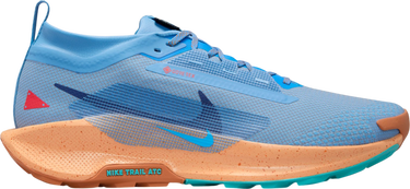 Sneakers og sko Nike Pegasus Trail 5 GORE-TEX Blå | fq0908-400, 0