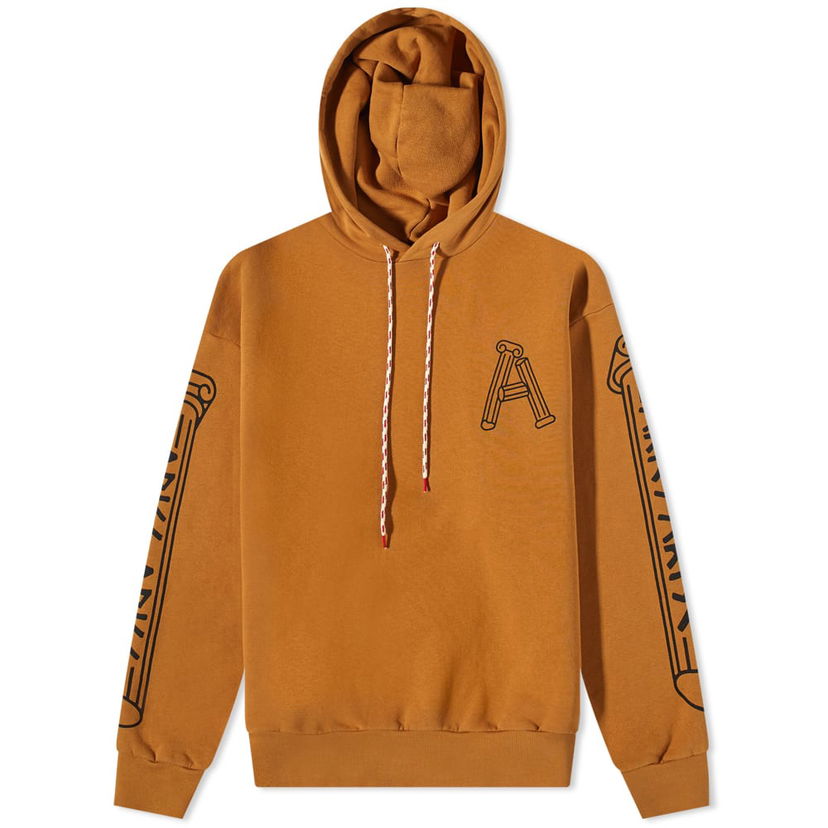 Sweatshirt Aries Aries Column Hoody Brun | FTAR20010-CML