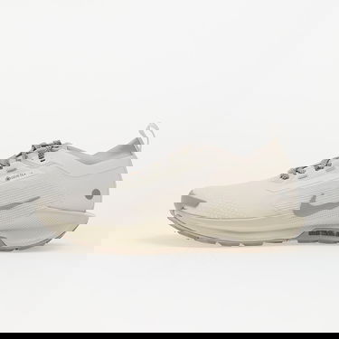 Sneakers og sko Nike Pegasus Trail 5 Gore-Tex Beige | HQ7494-100, 0
