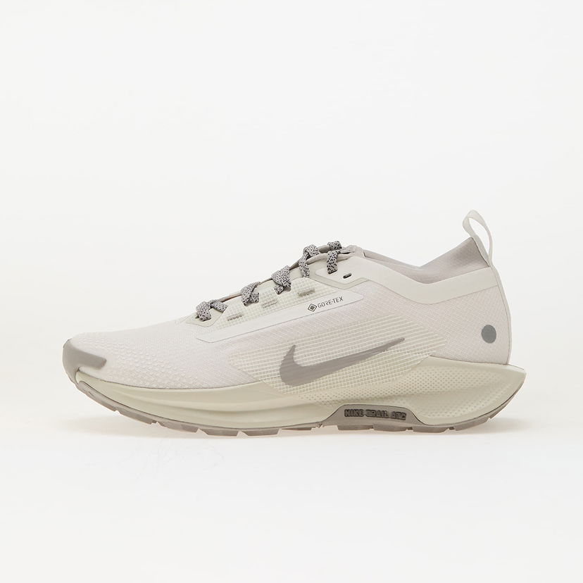 Sneakers og sko Nike Pegasus Trail 5 Gore-Tex Beige | HQ7494-100