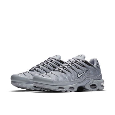 Sneakers og sko Nike Air Max Plus Grå | 852630 021, 1