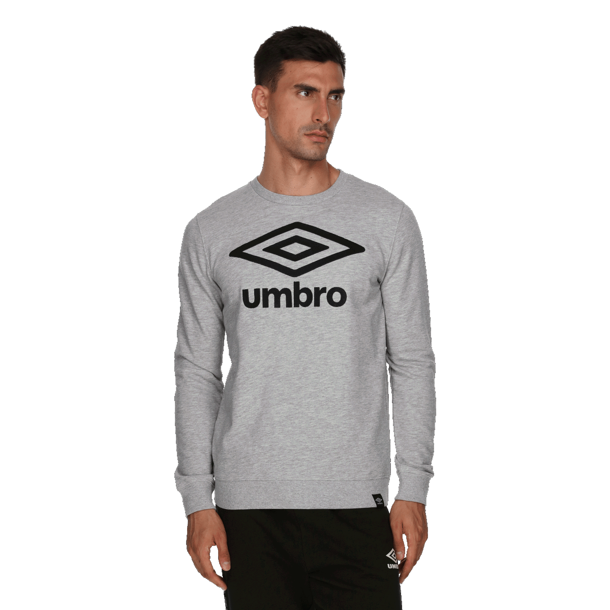 Sweatshirt Umbro Essentials Crewneck Sweatshirt Grå | UMA243M600-3A, 0