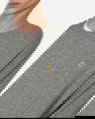 Sweater Comme des Garçons Lacoste x Sweater Grå | FL-N006-W23 1, 5