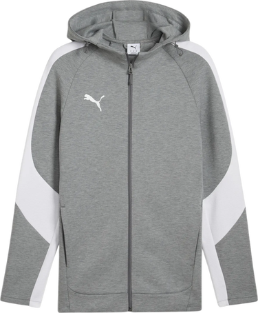 Sweatshirt Puma Puma teamEVOSTRIPE Hooded Jacket Grå | 659947-33, 0