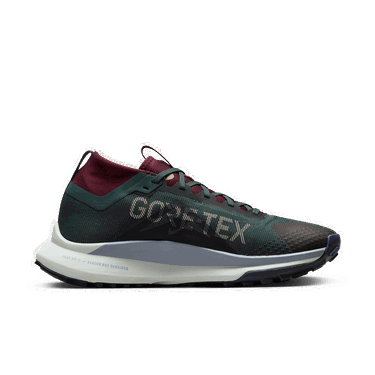 Sneakers og sko Nike Pegasus Trail 4 GORE-TEX Grøn | DJ7926-302, 1