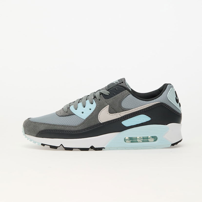 Sneakers og sko Nike Air Max 90 Light Grå | DM0029-009