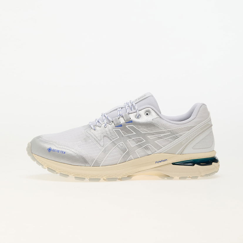 Sneakers og sko Asics Gel-Terrain GTX Grå | 1203A457-100