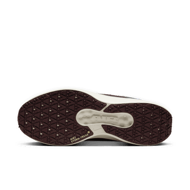 Sneakers og sko Nike Winflo 11 GORE-TEX Grå | FQ1358-003, 1