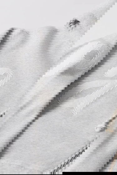 Sweatshirt By Parra Parra Word Salad Full-Zip Hoodie Grå | 54130, 3