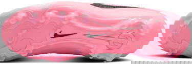 Sneakers og sko Nike LEGEND 10 PRO FG Lyserød | dv4333-601, 1