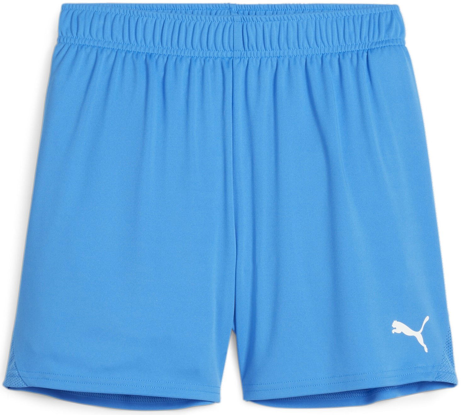 Shorts Puma teamGOAL Shorts Wmns Blå | 705754-02, 0